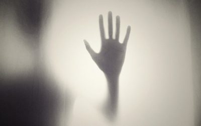 Anima nera