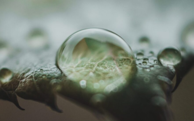 Una goccia d’acqua