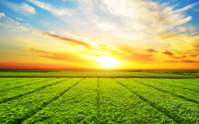Il sole che non voleva mai tramontare