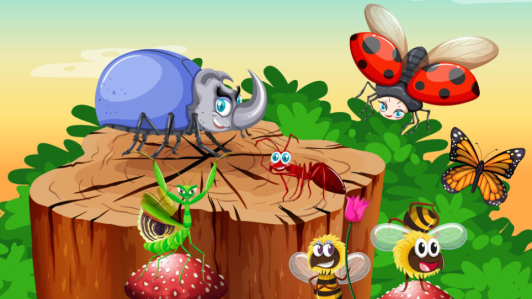 Mariposa e l'infinito