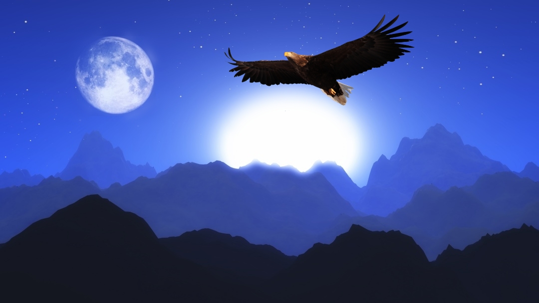 La guerra delle due palle